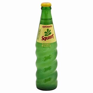 SQUIRT 24/355ML
